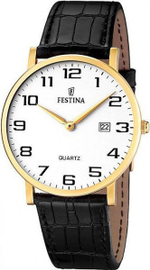 Мужские наручные часы Festina F16478/1