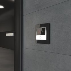 Розетка с заземлением и со шторками Werkel Gallant (серебряный) W5073106