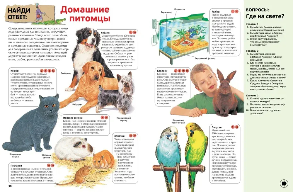 Интерактивная энциклопедия для школьников (нов.оф.*)