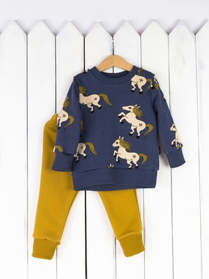 Костюм из футера 3-х нитки