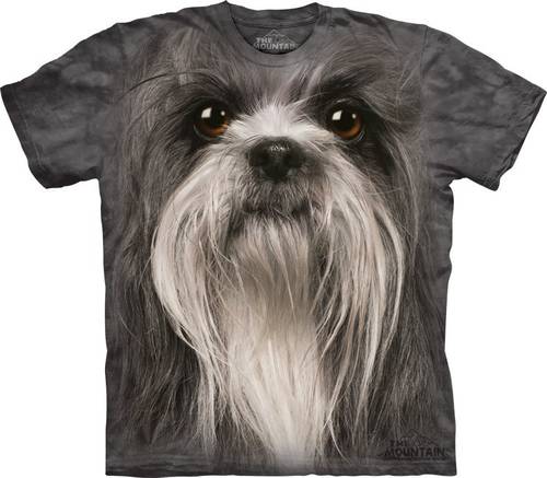 Shih Tzu Face