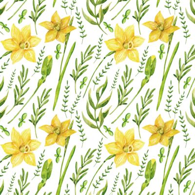 Весенние нарциссы