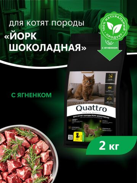 Корм сухой для котят породы Йорк шоколадная, с ягненком, 2кг, QUATTRO