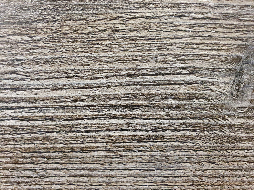 Сосна пасадена