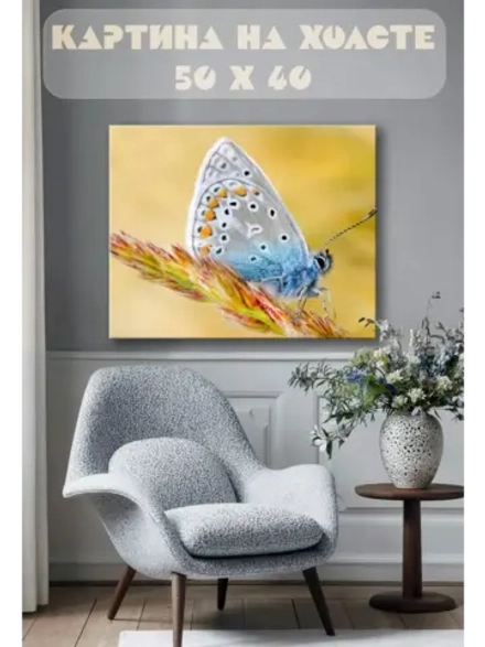 Картина на стену 40 X 50 Бабочка