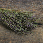 Мята горная, букет_5.jpg