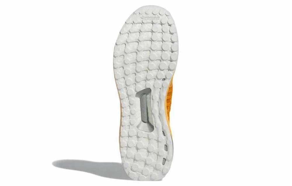 Кроссовки Adidas Ultraboost Climacool 2 Dna