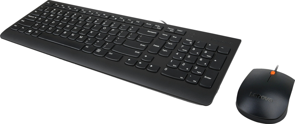 Клавиатура Lenovo 300 USB Combo GX30M39635 черный