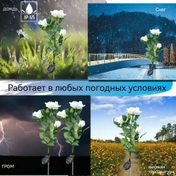 AUCKBY Набор садовых светильников на солнечных батареях 2ШТ, Роза теплый свет, для территории дома, дачи