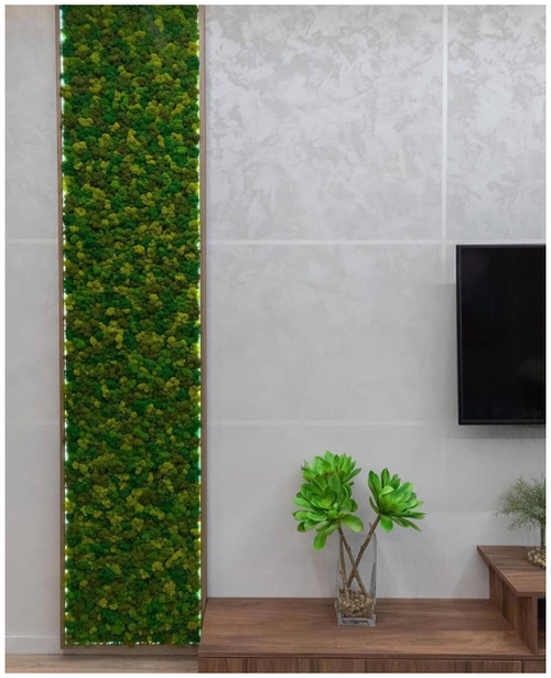 Панно из мха Ягель с подсветкой