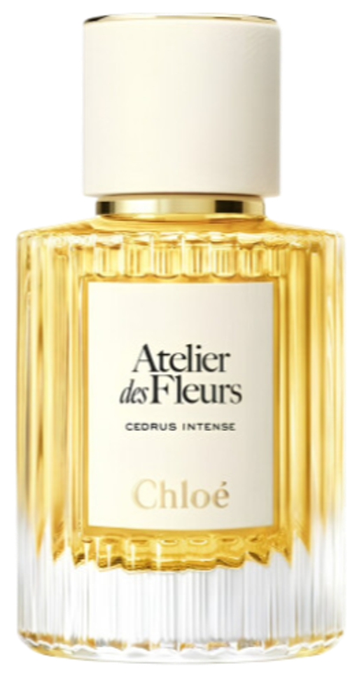 Chloé Cedrus Intense EDP