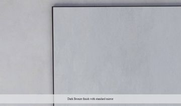 LEXINGTON RECTANGULAR MIRROR