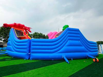 Надувной аквапарк «Аквасфера», без бассейна, 25*22*7,3 м