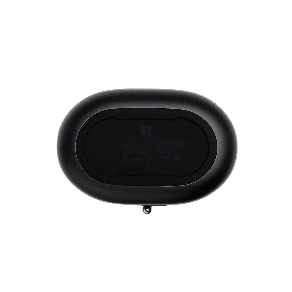 Портативная колонка JBL Tuner XL FM - купить на официальном сайте JBL