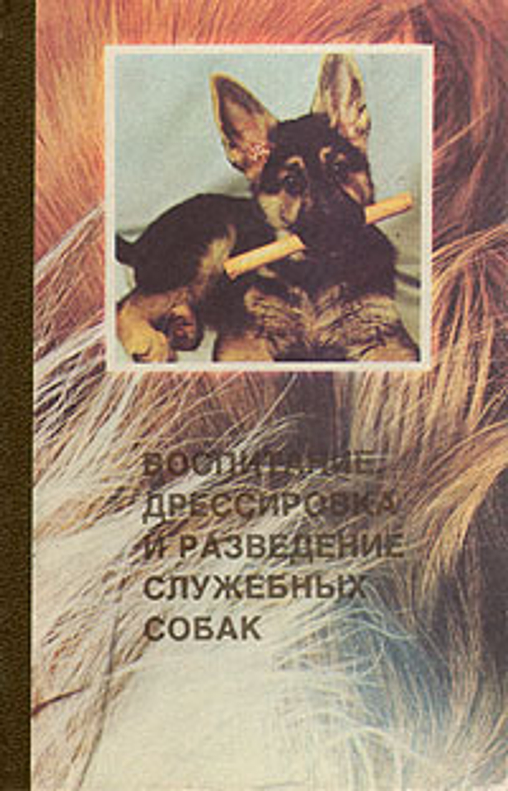 Воспитание, дрессировка и разведение служебных собак