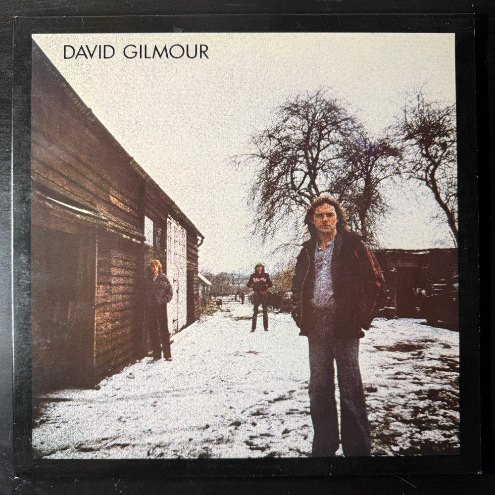 David Gilmour ‎– David Gilmour (США)