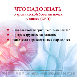 Семинтра раствор для орального применения Boehringer Ingelheim, флакон 30 мл