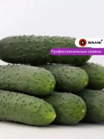 Огурец Дома F1
