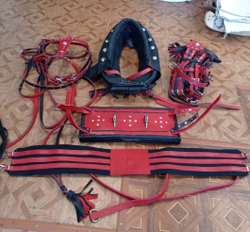 Хомут выездной