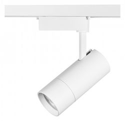 Светильник на штанге Lightstar Volta 229336