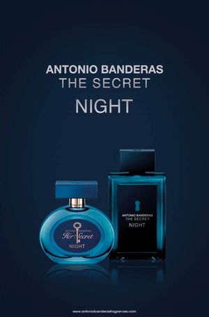 Antonio Banderas Her Secret Night