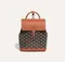 Рюкзак GOYARD Alpin Mini, коричневый