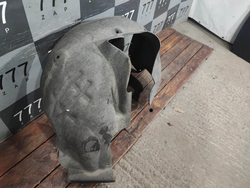 Подкрылок передний правый LADA Vesta 15-нв Б/У Оригинал 8450032554