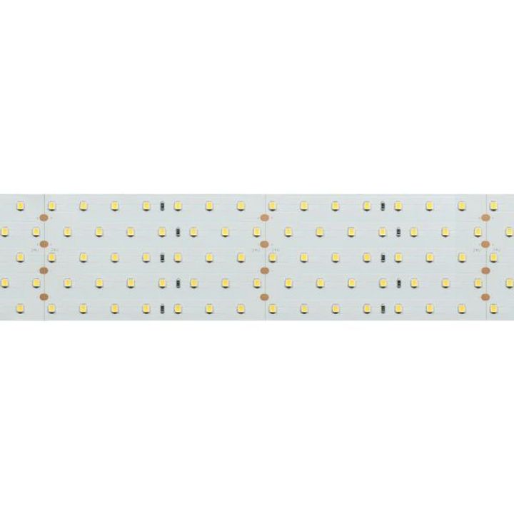 Светодиодная лента Arlight 36W/m 350LED/m 2835SMD дневной белый 2,5M 019081(2)