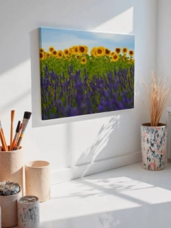 Картина на стену 40 X 50 Поле подсолнухов