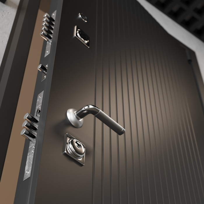 Входная дверь XL с зеркалом