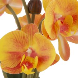 GAEM Цветочная композиция "Орхидея", L14 W13 H29 см
