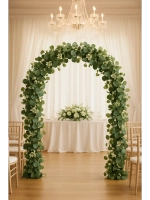 Лиана Эвкалипт папоротник