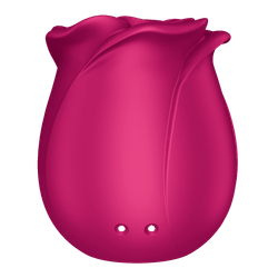 Вакуумный стимулятор клитора Satisfyer Pro 2 Classic Blossom