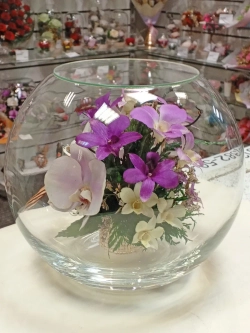 натуральные орхидеи в стекле, вакуум