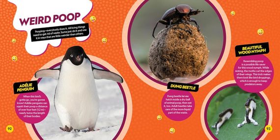 Weirdest Animals on the Planet