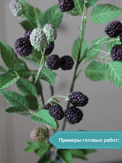 Молд силиконовый для лепки "лист Ежевики" / форма для оттиска листьев гортензии, малины, мяты)