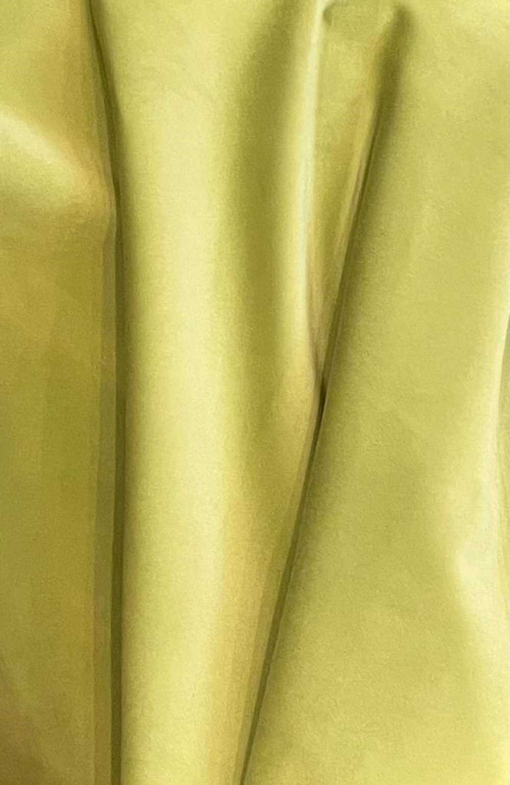 Santafe Olive