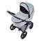 Коляска ANEX l/type 2 в 1 (lt-10t) frost + Аксесcуары