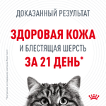 Сухой корм для кошек Royal Canin Hair & Skin Care (Роял Канин Хайбал энд скин кэа) для поддержания здоровья кожи и шерсти 400 г