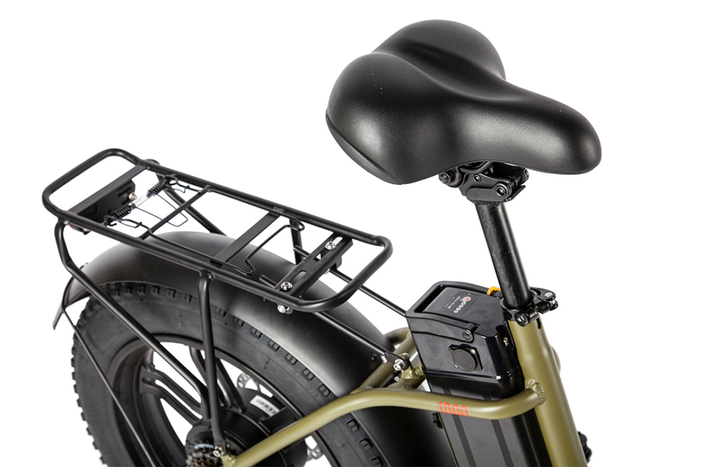 Электровелосипед Intro Ralf 350 (2024)