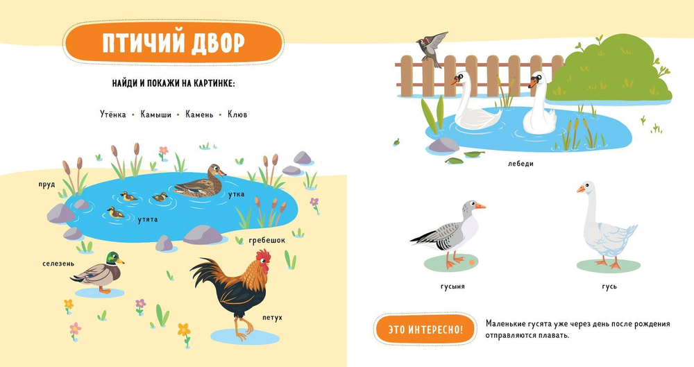Главная книга малыша. Домашние животные