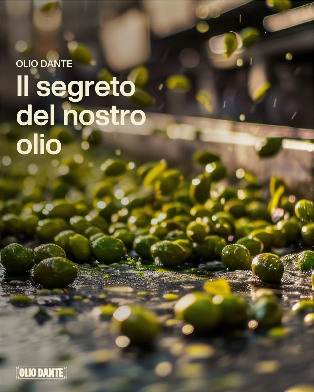 Оливковое масло DANTE di Sansa di Oliva (Pomace) 0,75л рафинированное Италия