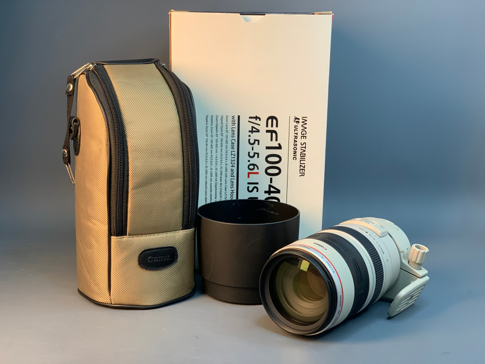 Canon EF 100-400mm 4.5-5.6L IS