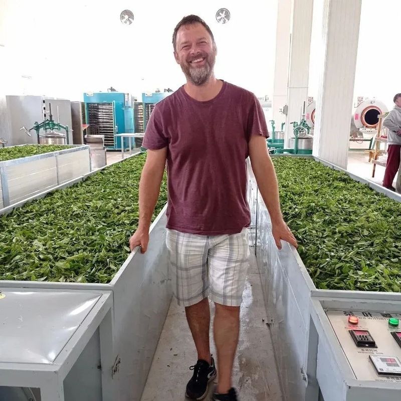 Грузинский чай и чаепроизводство