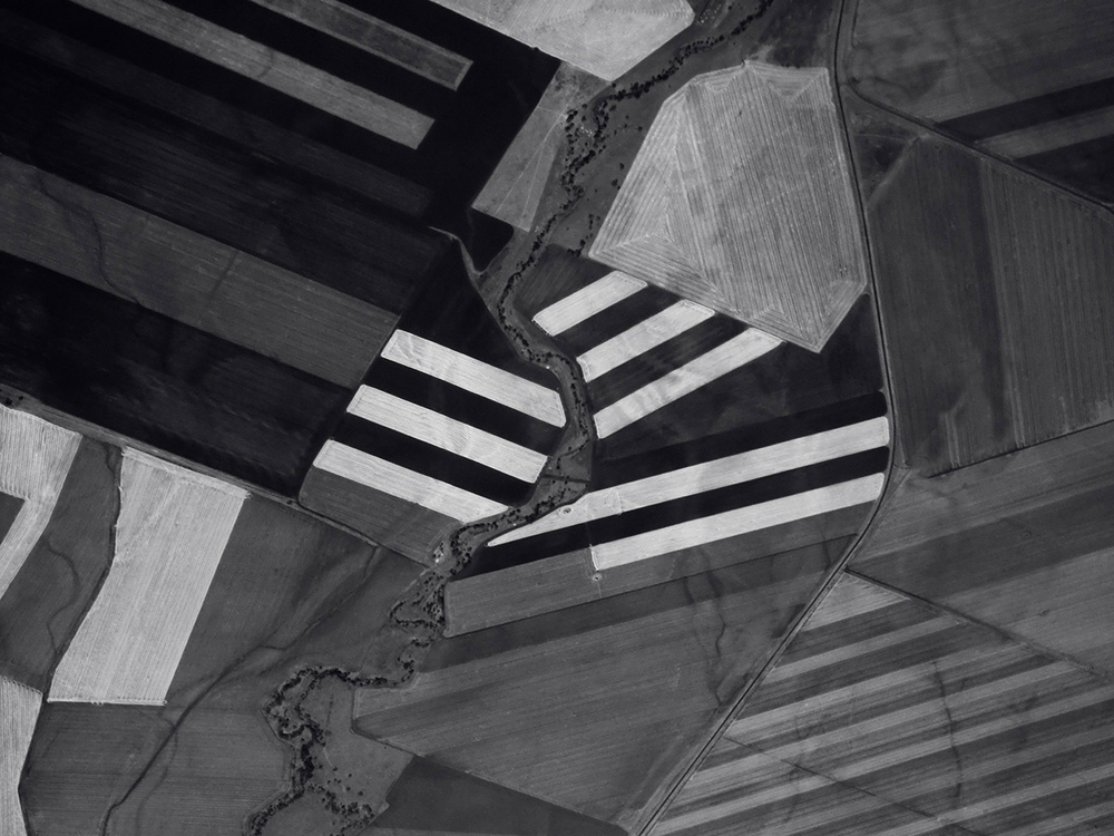 Дизайнерские обои Wall Street Bird see