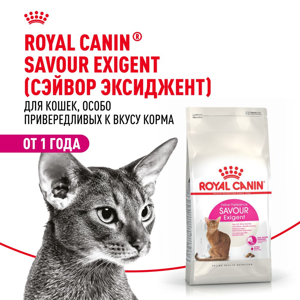 Сухой корм Royal Canin Savour Exigent для привередливых взрослых кошек от 1 года Сухой корм Royal Canin Savour Exigent для привередливых взрослых кошек от 1 года