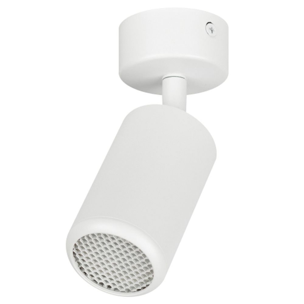 Светильник настенно-потолочный спот ЭРА OL55 WH MR16 GU10 IP20 белый