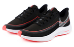 Кроссовки Nike Zoom Winflo 6 Shield