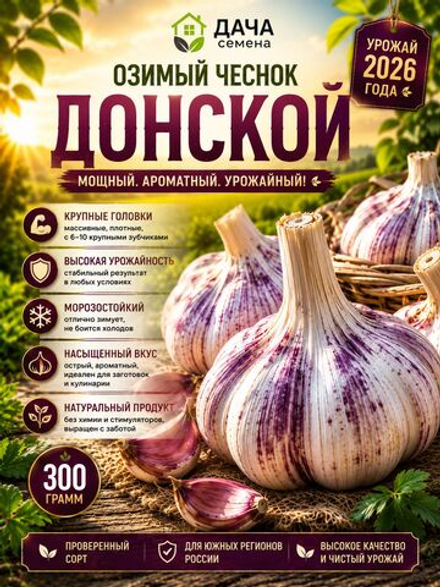 Чеснок озимый Донской 300 г, посадочный материал, семенной чеснок, крупные зубки, морозостойкий сорт