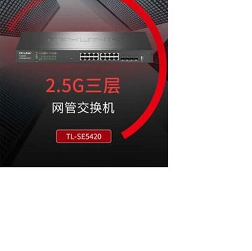 Коммутатор TP-Link TL-SE5420 (TL-SE5420)
